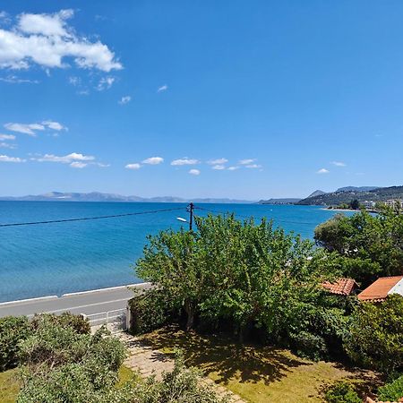 Thanos' Seaside Apartment Oropos Luaran gambar